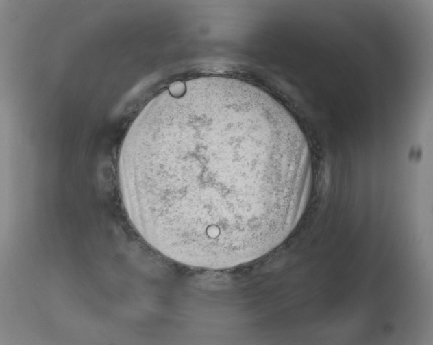 X0000112741446200909171150