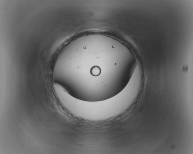 X0000112741448200909171150