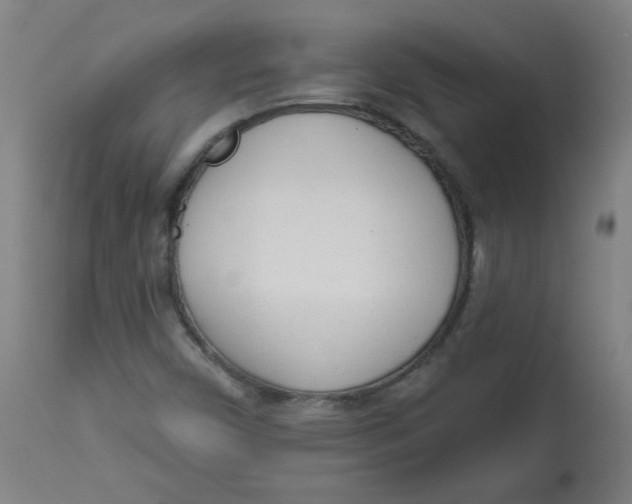 X0000112741450200909171150