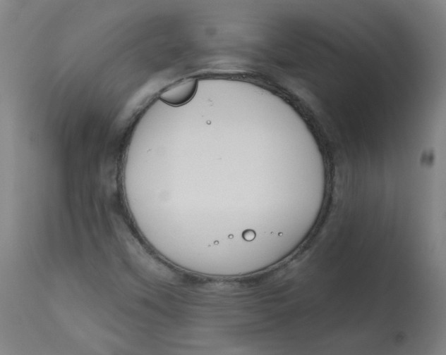 X0000112741451200909171150