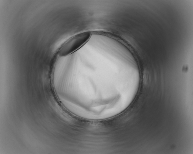 X0000112741452200909171150