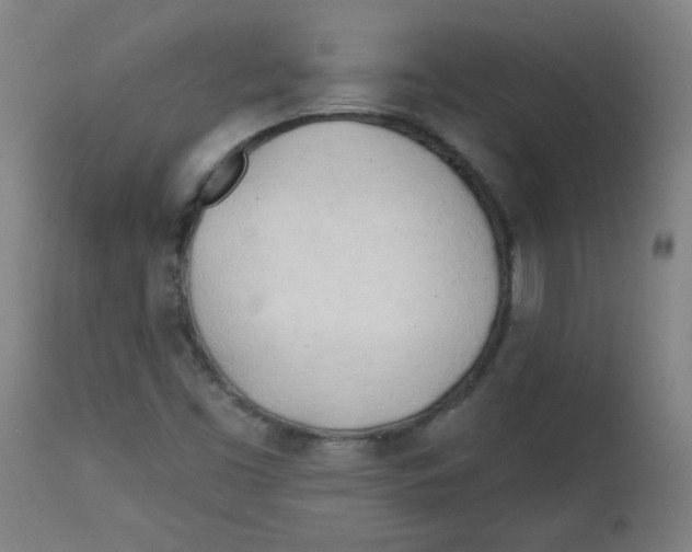 X0000112741453200909171150