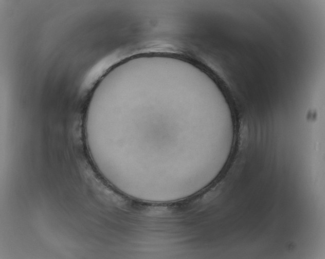 X0000112741455200909171150