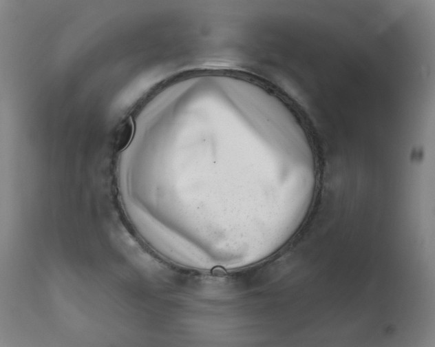 X0000112741456200909171150