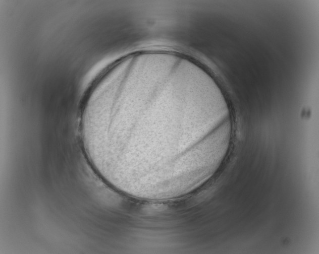 X0000112741462200909171150