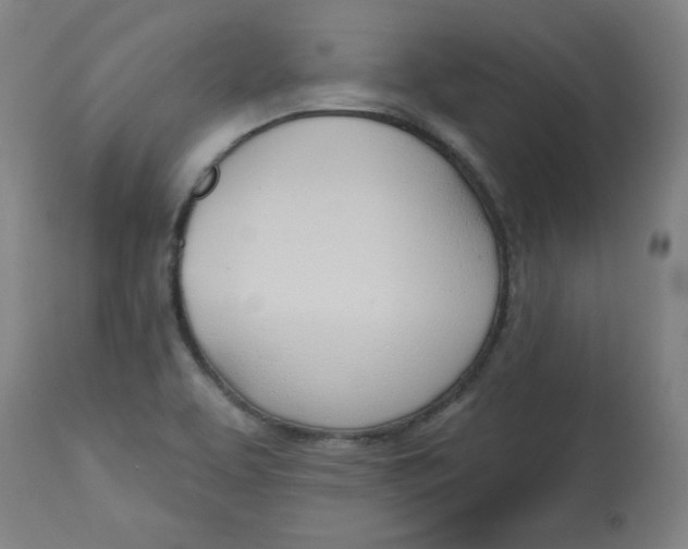 X0000112741463200909171150