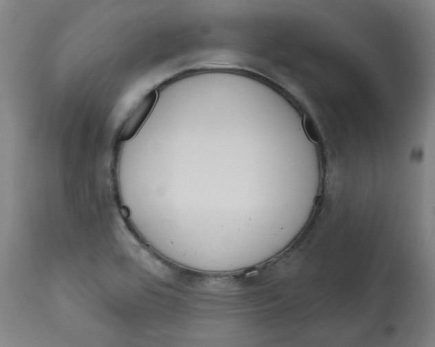 X0000112741464200909171150