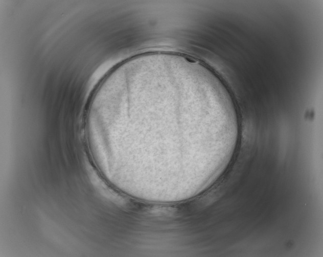 X0000112741466200909171150