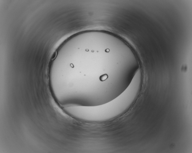 X0000112741468200909171150