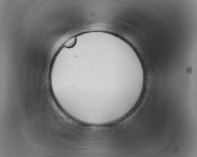 X0000112741469200909171150