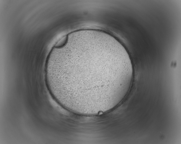 X0000112741471200909171150