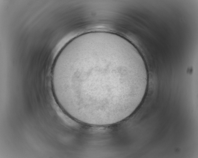 X0000112741474200909171150