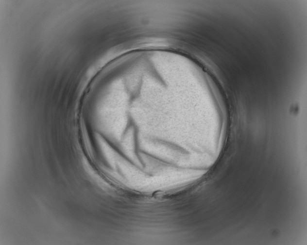 X0000112741475200909171150