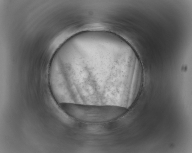 X0000112741477200909171150