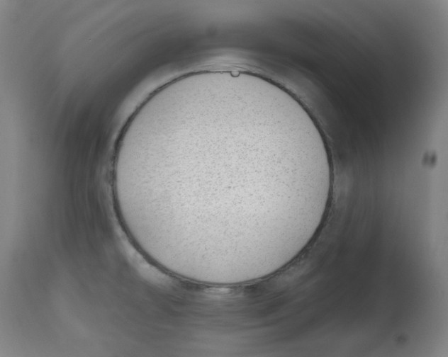 X0000112741478200909171150