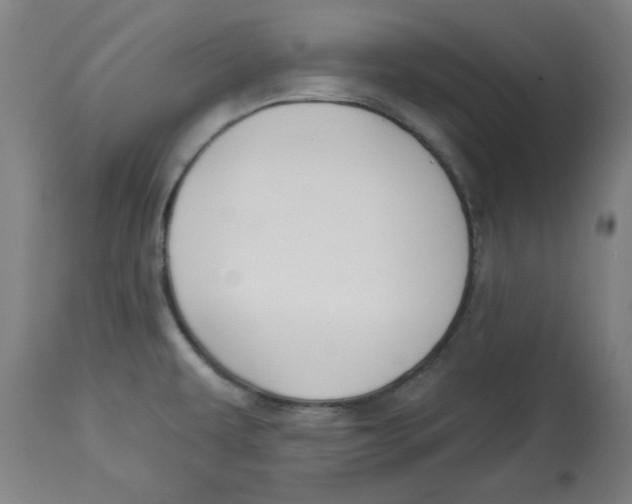 X0000112741479200909171150