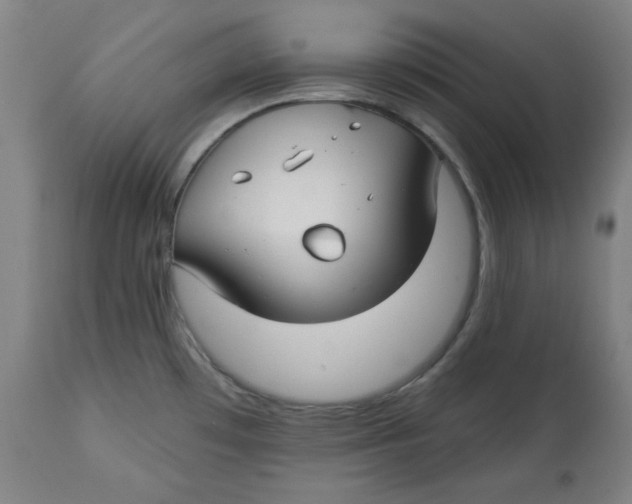 X0000112741481200909171150