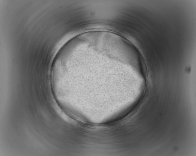 X0000112741482200909171150