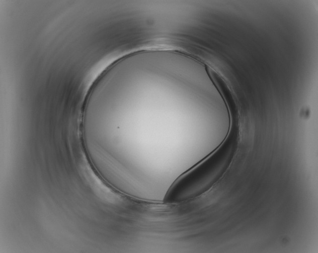 X0000112741484200909171150