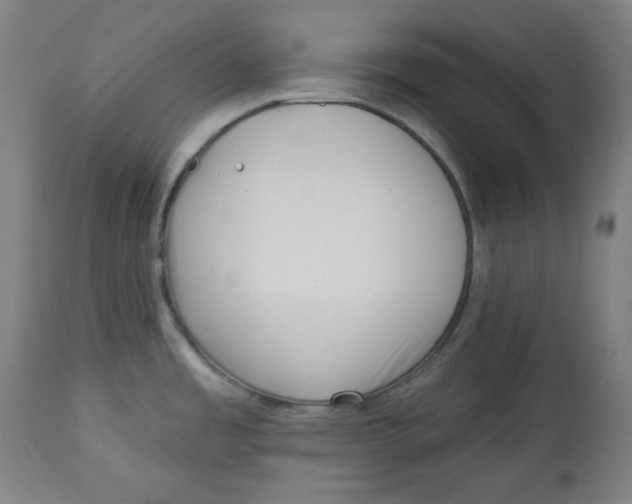 X0000112741485200909171150