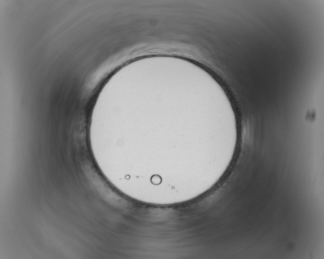 X0000112741498200909171149