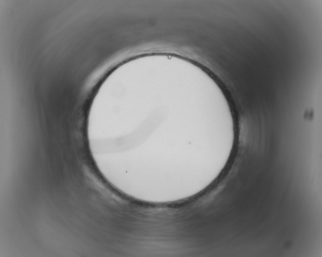 X0000112741502200909171149