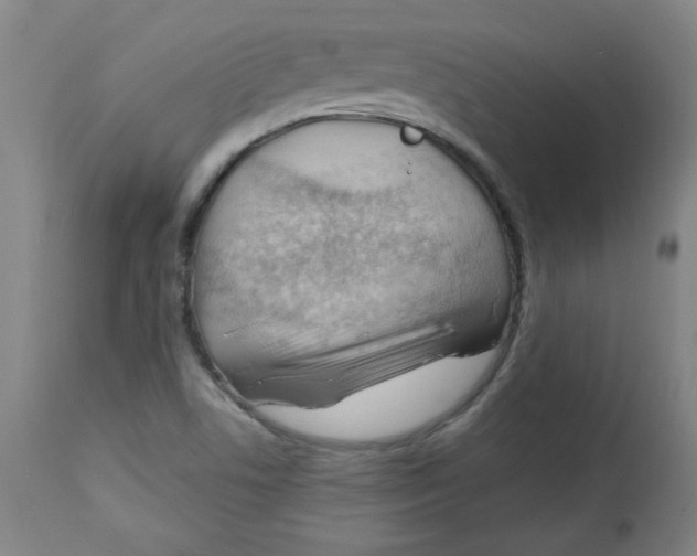 X0000112741506200909171149