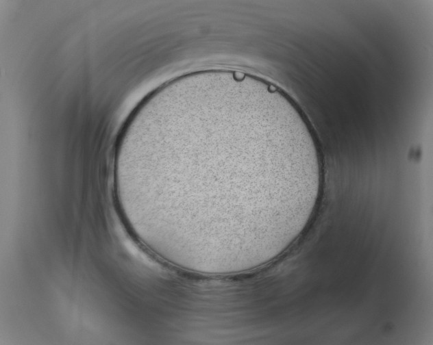 X0000112741515200909171149