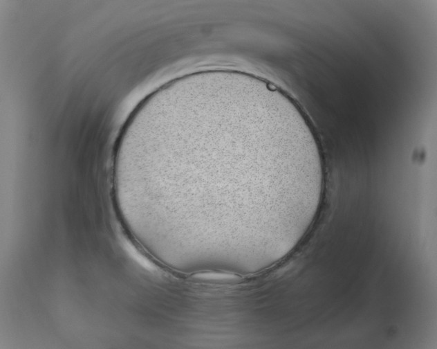 X0000112741519200909171149