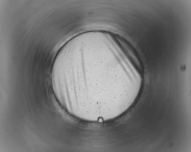 X0000112741521200909171150