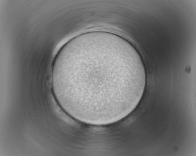 X0000112741522200909171150