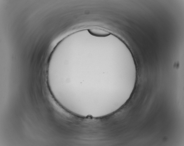 X0000112741526200909171150