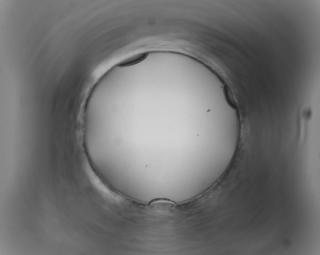 X0000112741528200909171150