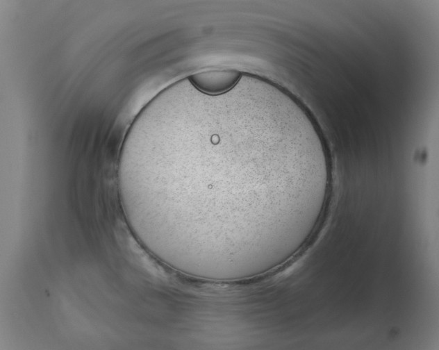 X0000112741529200909171150