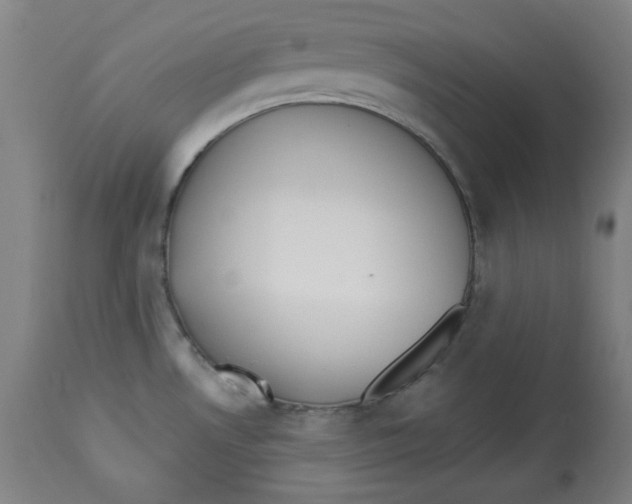 X0000112741530200909171150