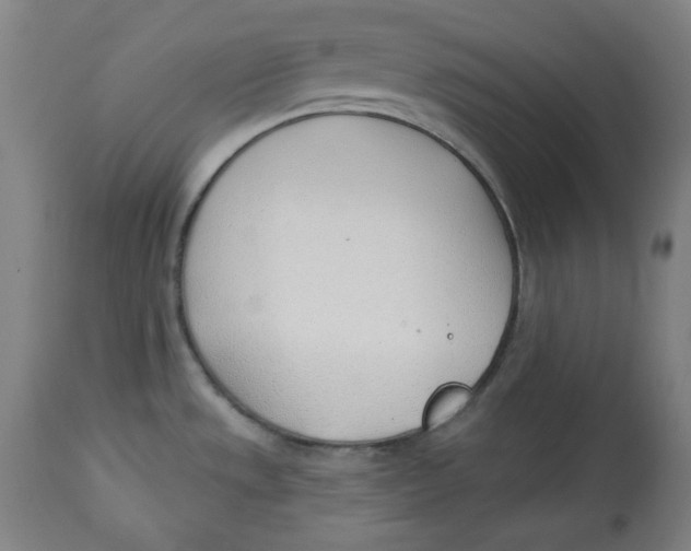 X0000112741533200909171150