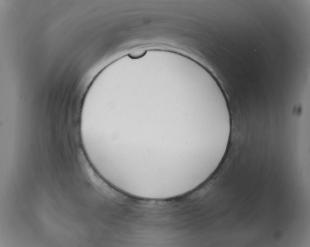 X0000112741534200909171150