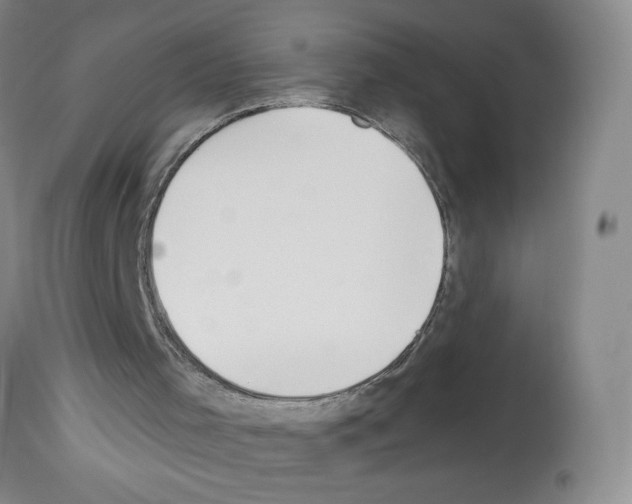 X0000112740001200910011232