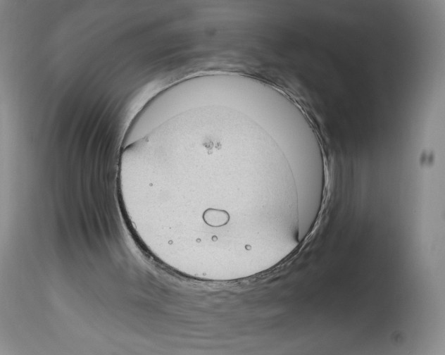 X0000112740003200910011232