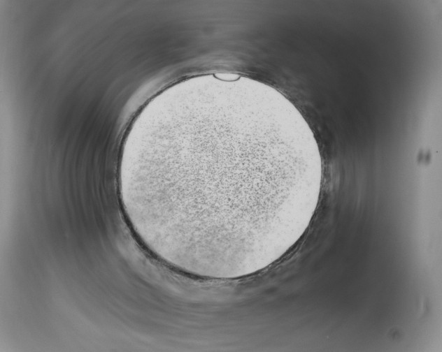 X0000112740004200910011232