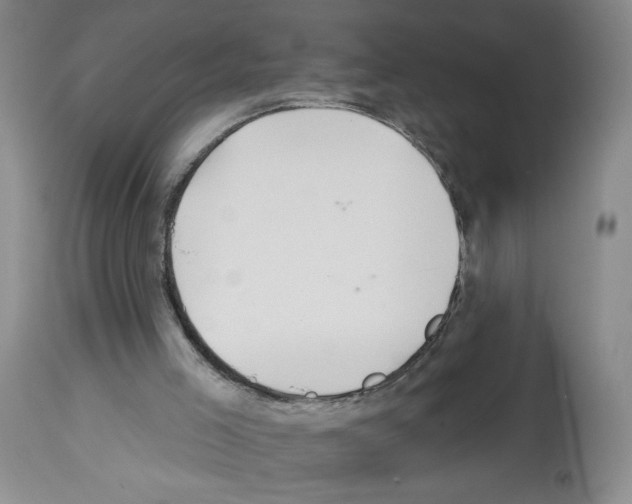 X0000112740005200910011232