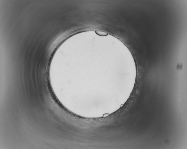 X0000112740007200910011232