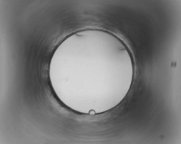 X0000112740009200910011232