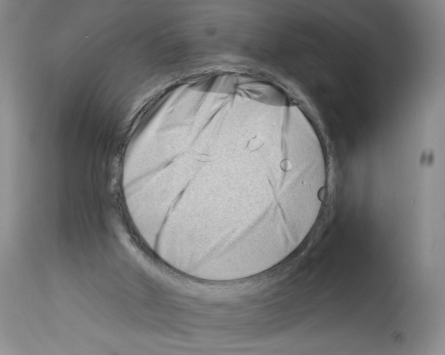 X0000112740010200910011232