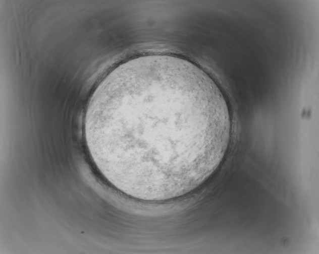 X0000112740014200910011232