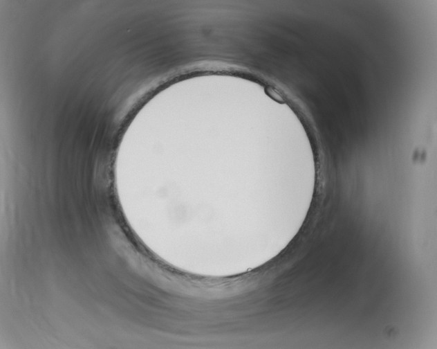 X0000112740015200910011232