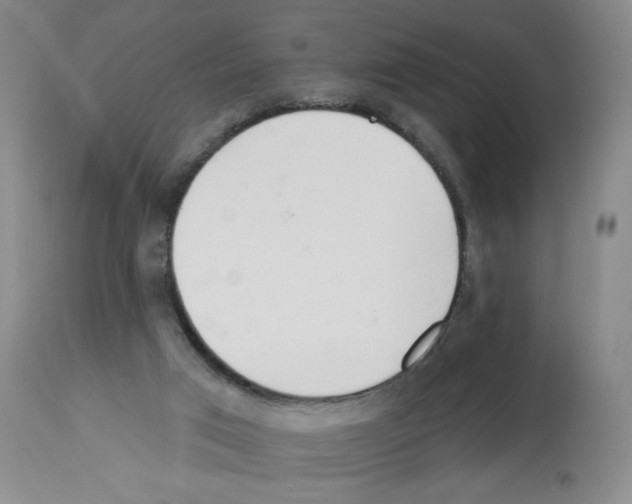 X0000112740017200910011232