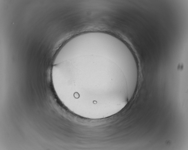 X0000112740019200910011231