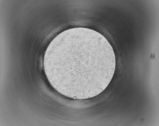 X0000112740020200910011231