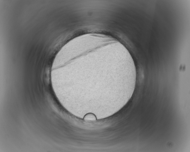 X0000112740022200910011231